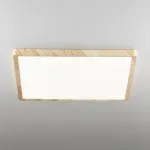 Накладной светильник Citilux Бейсик CL738K502V