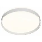 Накладной светильник Denkirs Plato DK6511-WH/1