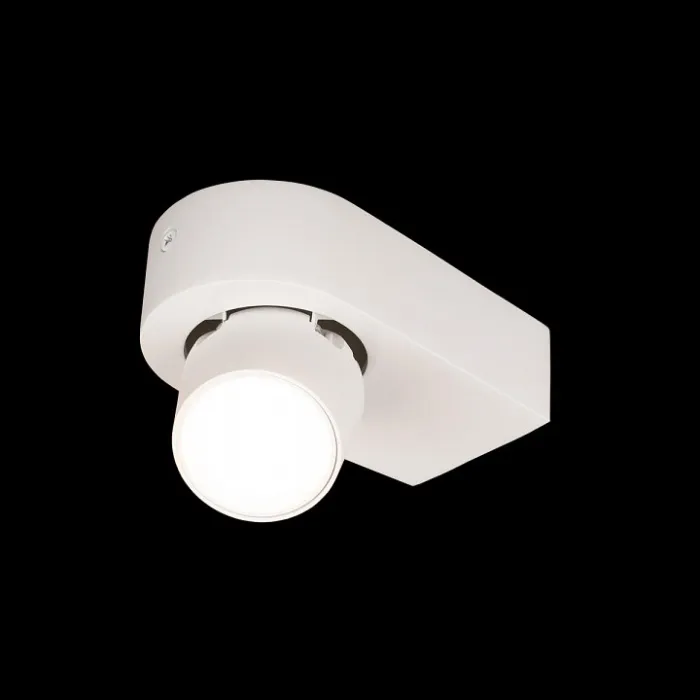 Накладной светильник Loft it Quiet 10320 White от ImperiumLoft