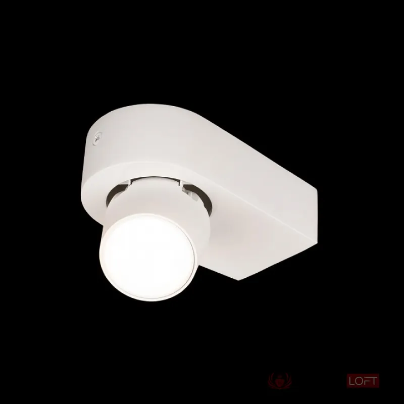 Накладной светильник Loft it Quiet 10320 White от ImperiumLoft