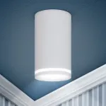Накладной светильник Эра OL16 GU10 WH Б0049043 от ImperiumLoft