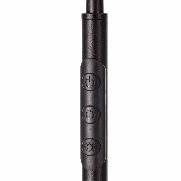 Торшер Citilux Alex CL804051 от ImperiumLoft
