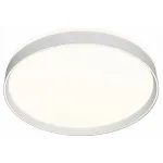 Накладной светильник Denkirs PLATO DK6510-WH