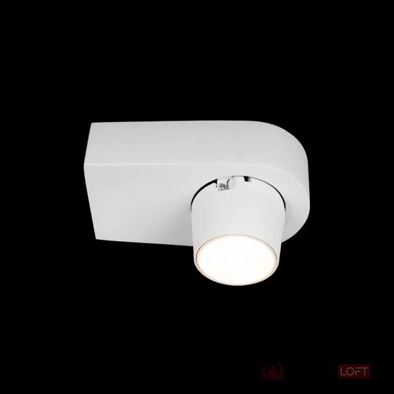 Накладной светильник Loft it Quiet 10320 White от ImperiumLoft
