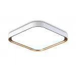 Потолочный светодиодный светильник FZ1253 WH/GD белый/золото 18W 5000K 250*250*60 (Без ПДУ) от NovaLamp