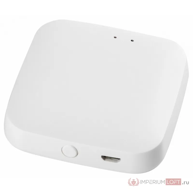 Контроллер-выключатель Wi-Fi для смартфонов и планшетов Lightstar PRO 505500R от ImperiumLoft