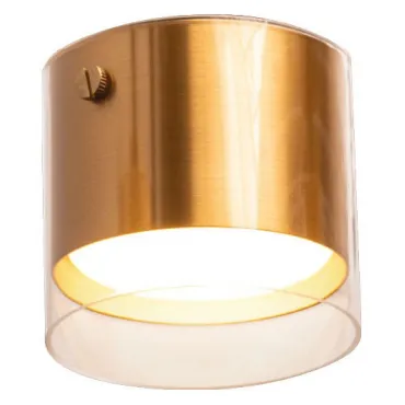 Потолочный светильник Wolta ORO WSL-GX53 WSL-GX53/07G