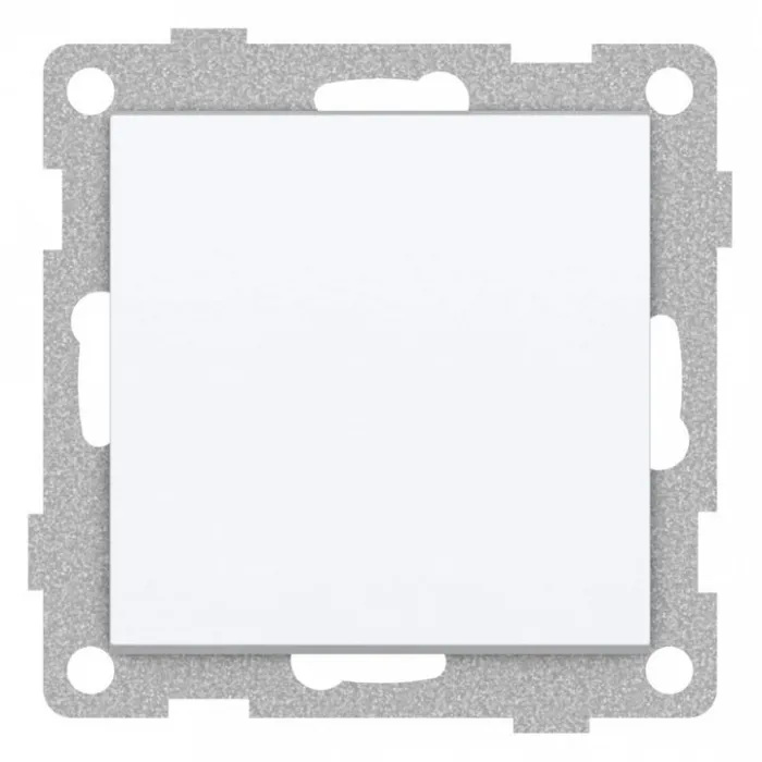 Выключатель двухполюсной одноклавишный без рамки Gusi Electric UGRA С11В5-001 от ImperiumLoft