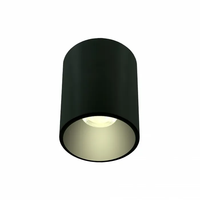 Накладной светильник LIGHTERA Shamrock LE200CL-1B от ImperiumLoft