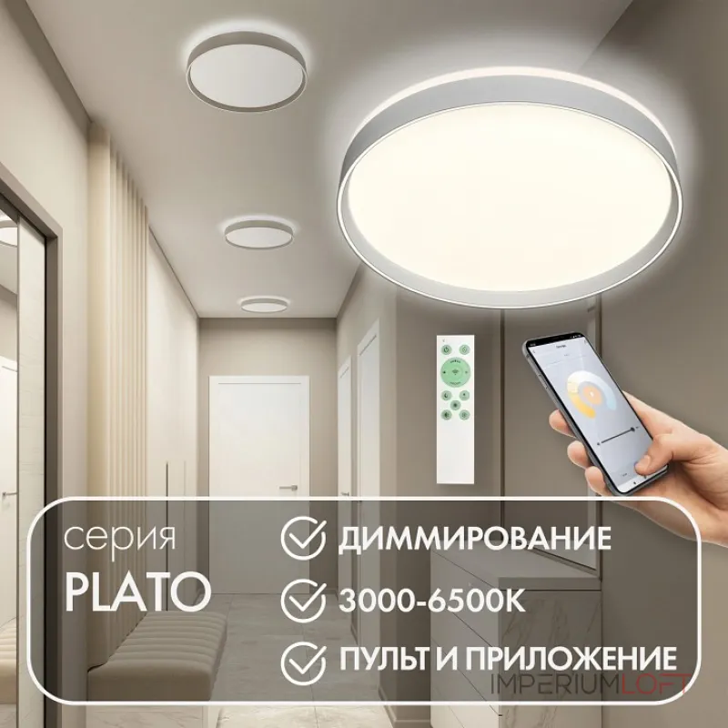 Накладной светильник Denkirs PLATO DK6511-WH Накладной светильник Denkirs PLATO DK6511-WH