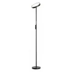 Торшер Lussole Carmel LSP-0901-SE от ImperiumLoft