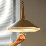 Подвесной светильник LIGHTERA Tahoe LE100L-40H от ImperiumLoft