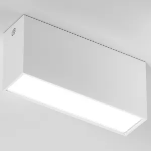 Потолочный светильник Elektrostandard Block a066995