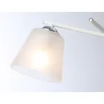 Светильник подвесной TR303201/2 WH/CH/FR белый/хром/белый матовый E27*2 max 60W 470*370*260 от NovaLamp Светильник подвесной TR303201/2 WH/CH/FR белый/хром/белый матовый E27*2 max 60W 470*370*260 от NovaLamp