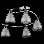 Потолочная люстра Arti Lampadari Paola, Tavenna Nickel Paola E 1.1.5 N