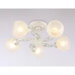 Потолочная люстра TR3062/5 WH/SL/FR белый/серебро/белый матовый E27/5 max 40W D615*245 от NovaLamp