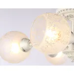 Потолочная люстра TR3062/5 WH/SL/FR белый/серебро/белый матовый E27/5 max 40W D615*245 от NovaLamp