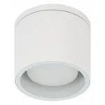 Накладной светильник Эра WL40 WH Б0054415 от ImperiumLoft
