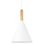 Подвесной светильник EVOLUCE Arket SLE1255-503-01 от ImperiumLoft