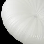 Потолочный светильник Lussole Claudia LSP-0921