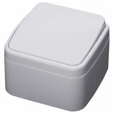 Выключатель одноклавишный Stekker Basic 39031 Выключатель одноклавишный Stekker Basic 39031