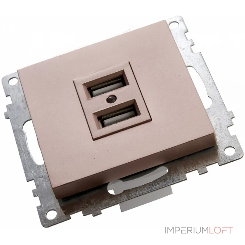 Розетка USB без рамки Stekker Катрин 39602
