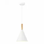 Подвесной светильник EVOLUCE Arket SLE1255-503-01 от ImperiumLoft