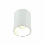 Накладной светильник LIGHTERA Shamrock LE200CL-1W от ImperiumLoft