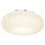 Потолочный светильник Lussole Claudia LSP-0921