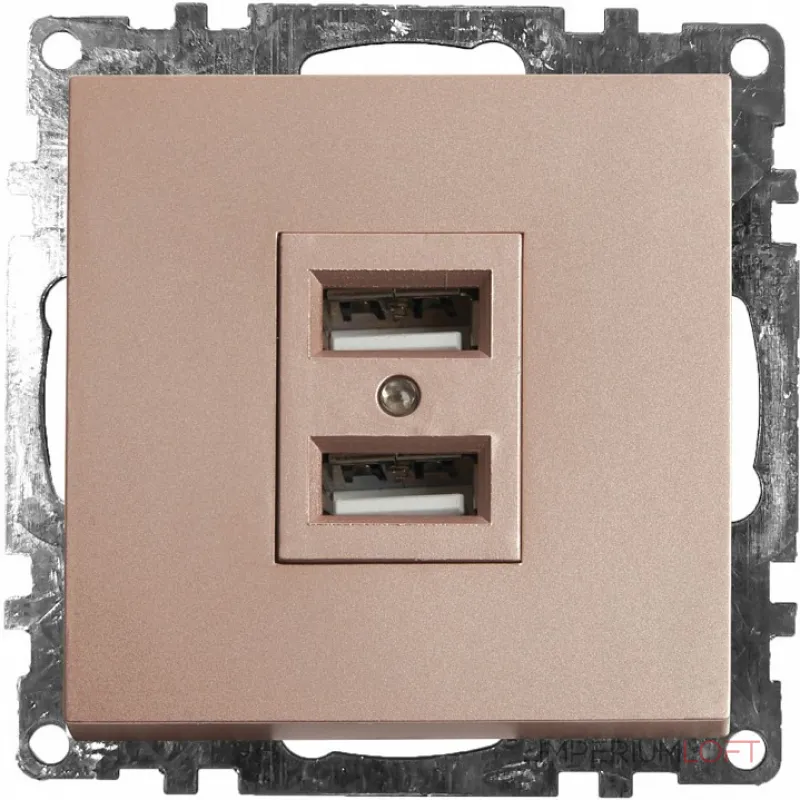 Розетка USB без рамки Stekker Катрин 39602