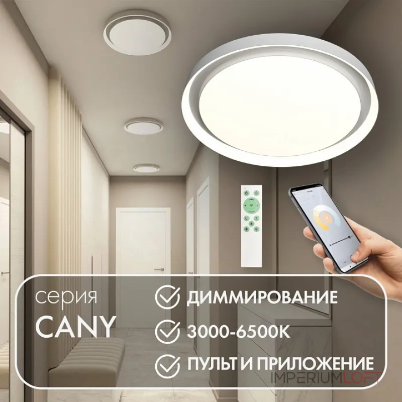 Накладной светильник Denkirs Cany DK6516-WH/1