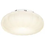 Потолочный светильник Lussole Claudia LSP-0921