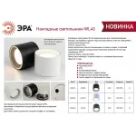 Накладной светильник Эра WL40 WH Б0054415 от ImperiumLoft