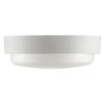 Накладной светильник Wolta LCL04-12W-R41-6K-SBA