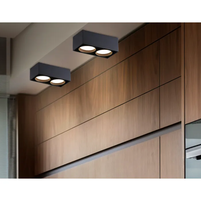 Светильник накладной TN70875/2 BK черный GX53/2 max 12W 185*92*62 от NovaLamp