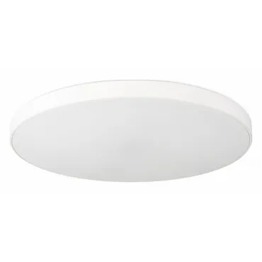 Потолочный светильник SIMPLE STORY 1204 1204-LED48CL