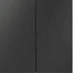 Выключатель двухклавишный без рамки Voltum S70 VLS020606 от ImperiumLoft