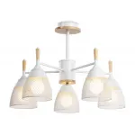 Подвесная люстра TR8012/5 WH белый E27*5 max 40W D600*385 от NovaLamp