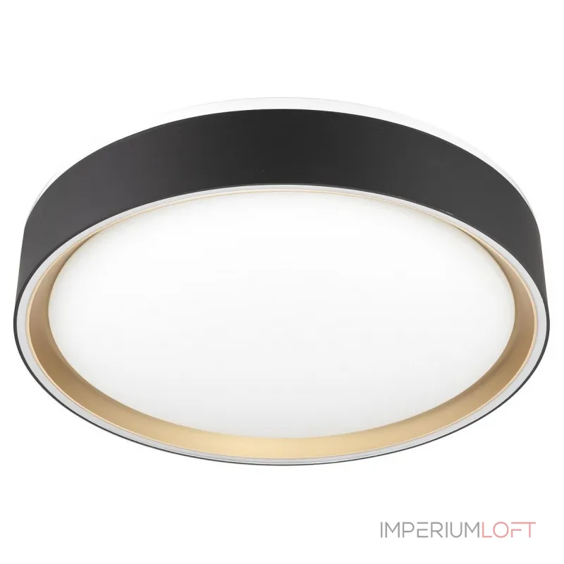 Накладной светильник Citilux BOSS CL751251G