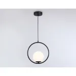 Подвесной светильник TR2592 BK черный E27 max 60W 300*150*1000 от NovaLamp