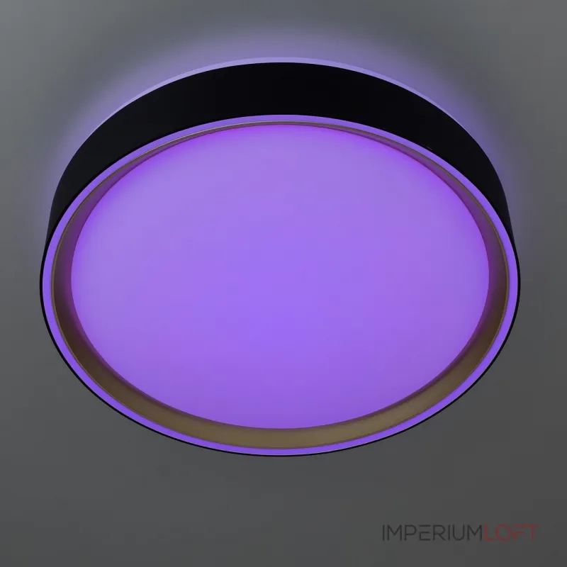 Накладной светильник Citilux BOSS CL751251G