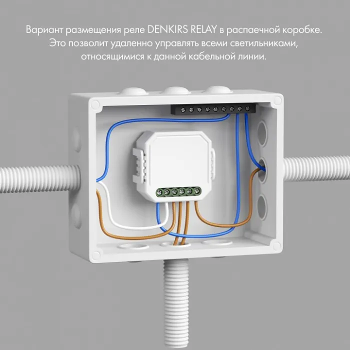 Контроллер-выключатель Wi-Fi для смартфонов и планшетов Denkirs Relay RL1002-SM/1 от ImperiumLoft