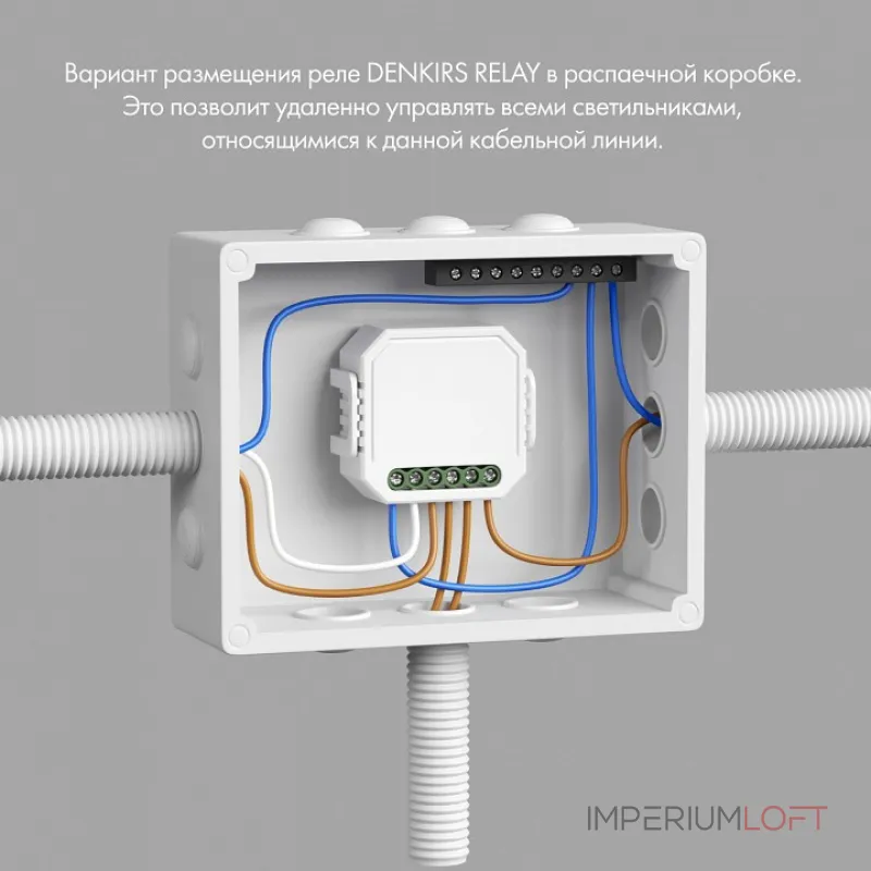Контроллер-выключатель Wi-Fi для смартфонов и планшетов Denkirs Relay RL1002-SM/1 Контроллер-выключатель Wi-Fi для смартфонов и планшетов Denkirs Relay RL1002-SM/1