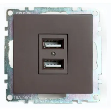 Розетка USB без рамки Stekker Катрин 49027