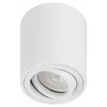 Накладной светильник Эра OL21 WH Б0054392