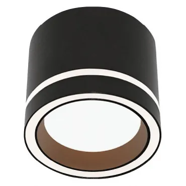 Потолочный светильник Wolta LUCE WSL-GX53 WSL-GX53/06BL