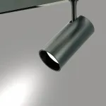 Светильник на штанге LIGHTERA Startrek 220 LE169TRS-20B WIFI от ImperiumLoft