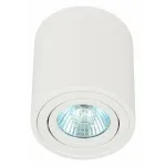 Накладной светильник Эра OL21 WH Б0054392