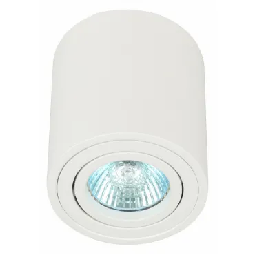 Потолочный светильник Эра OL21 WH Б0054392