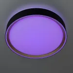 Накладной светильник Citilux BOSS CL751251G
